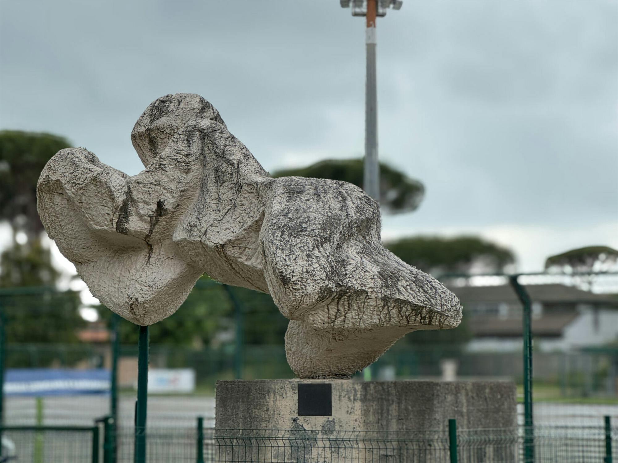 "Il portiere", Ugo Guidi