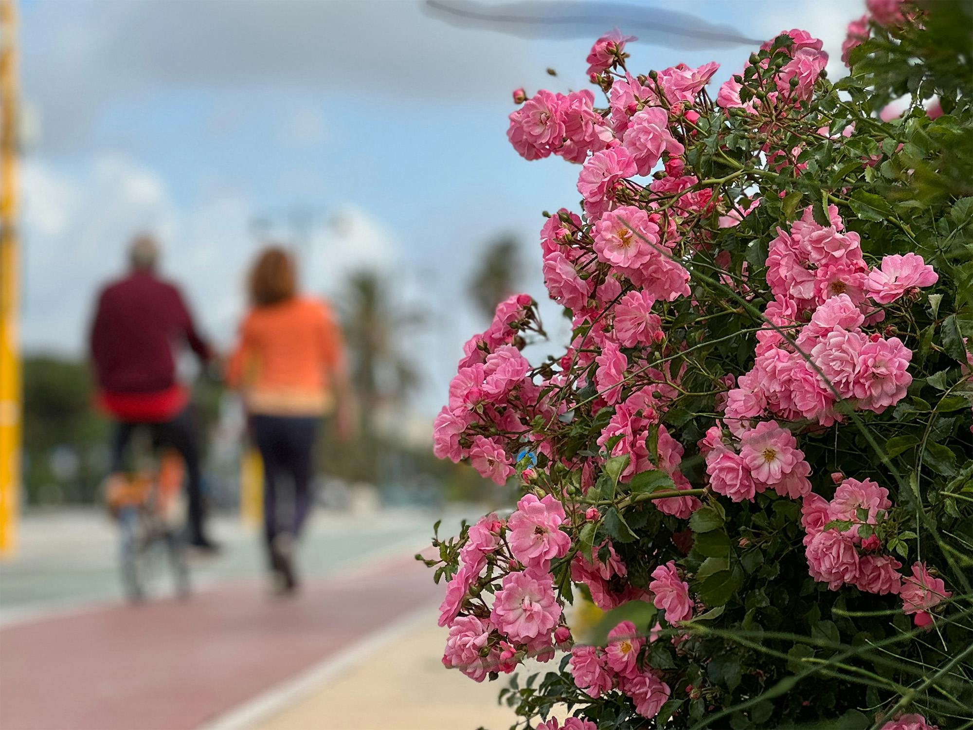 A passeggio in centro