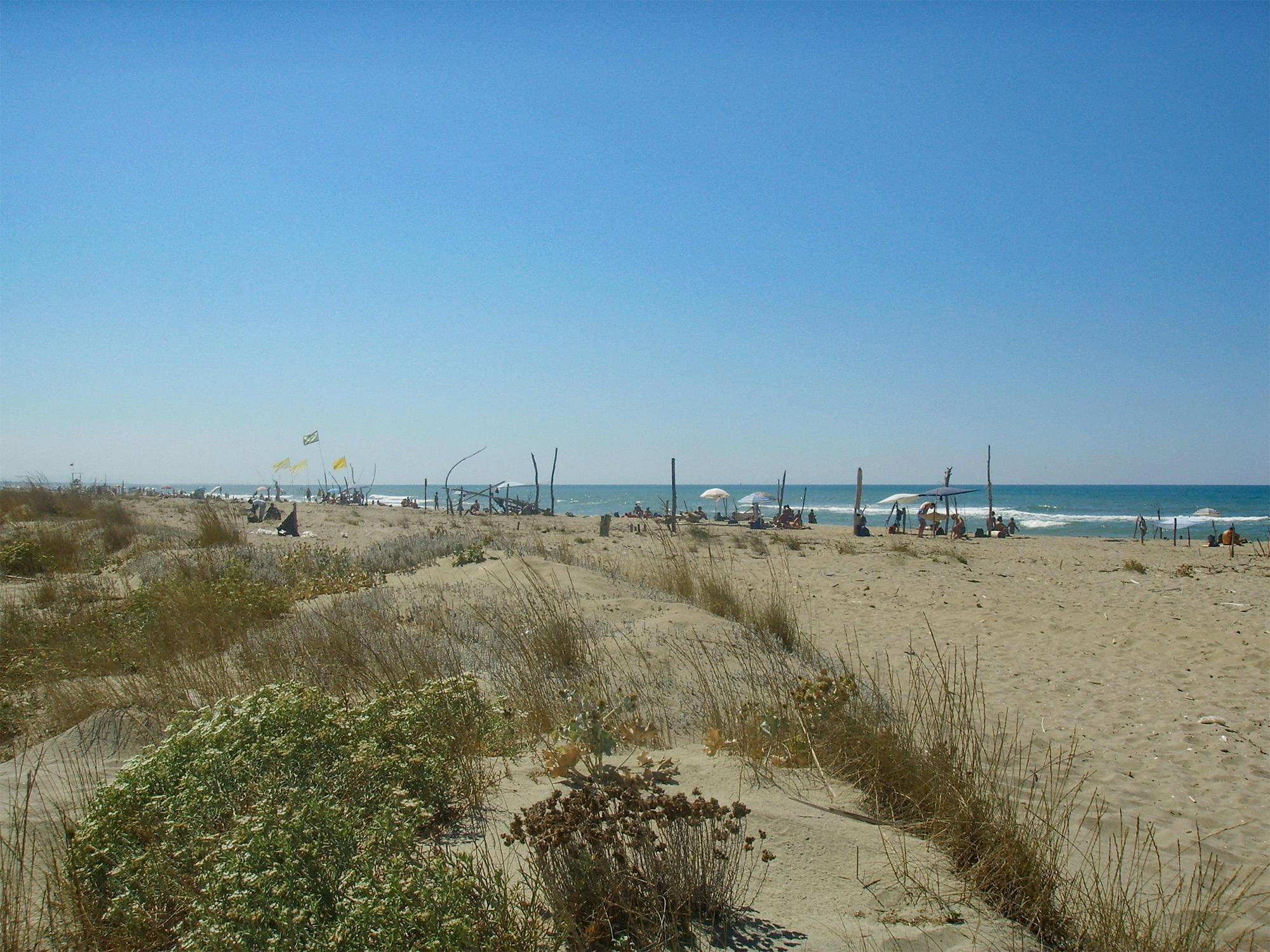 La spiaggia della Lecciona alla Marina di Torre del Lago