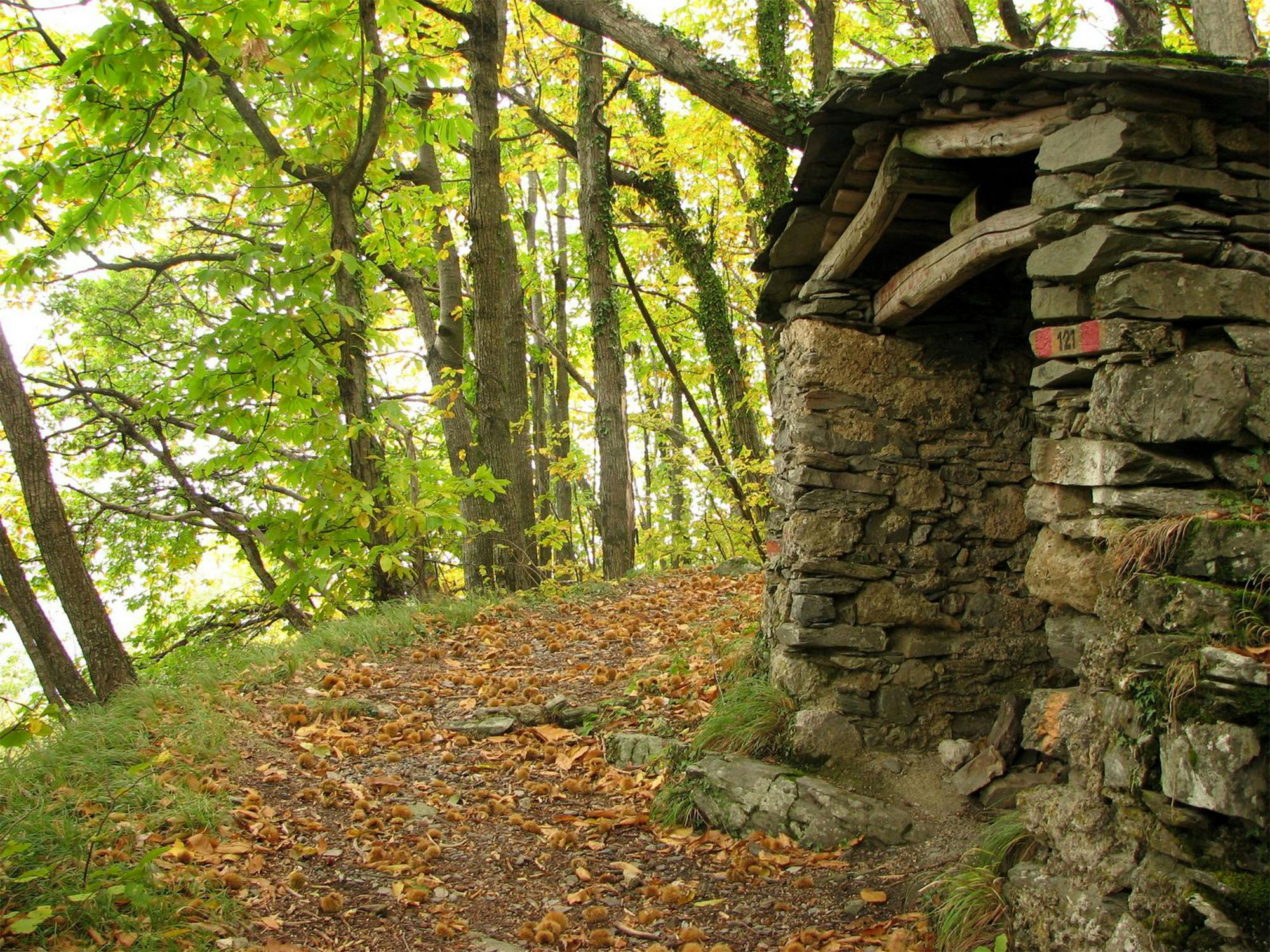 Un sentiero dell'Alta Versilia in autunno