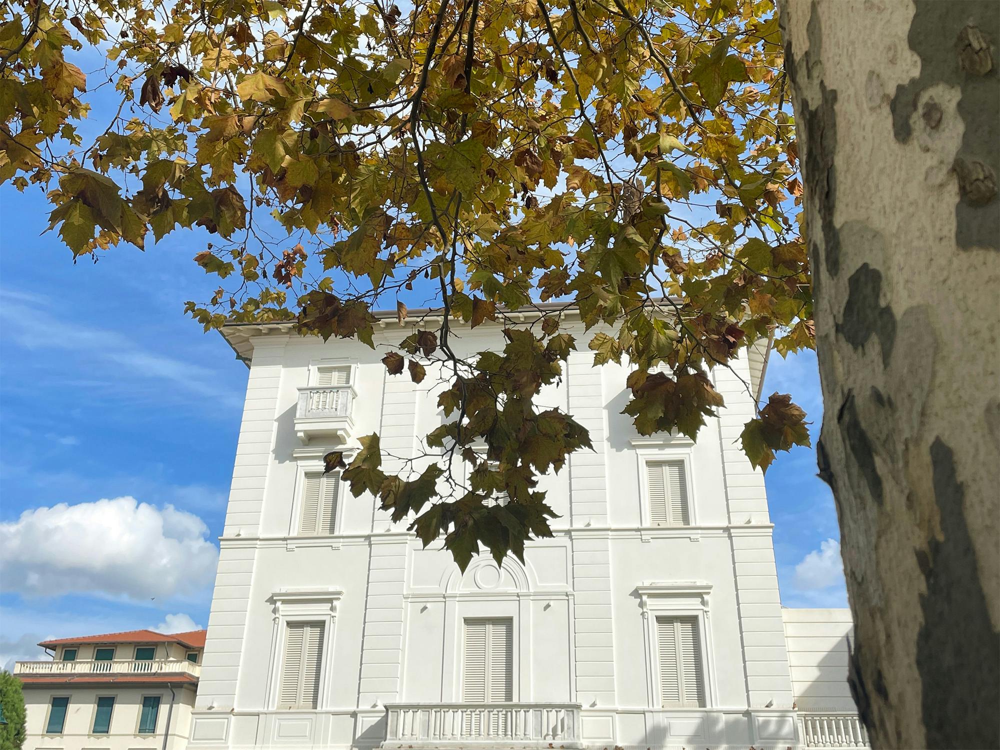 Foliage a Forte dei Marmi