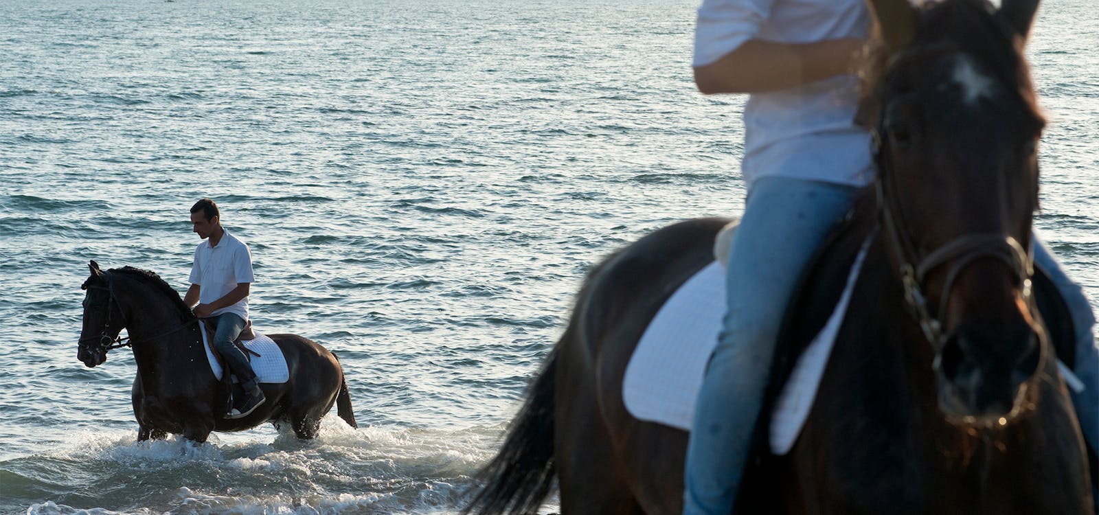 A cavallo alla spiaggia libera di Forte dei Marmi A cavallo alla spiaggia libera di Forte dei Marmi