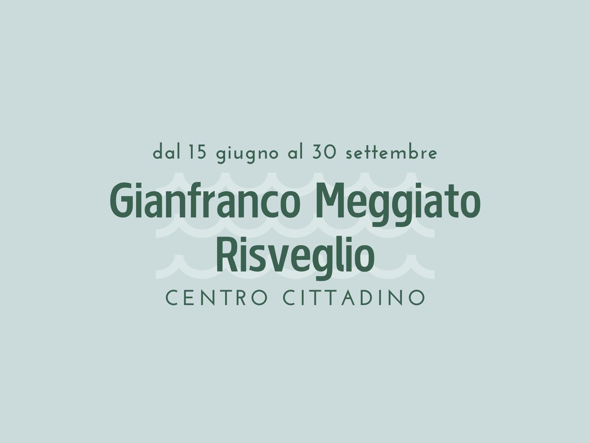 Copertina Gianfranco Meggiato Risveglio