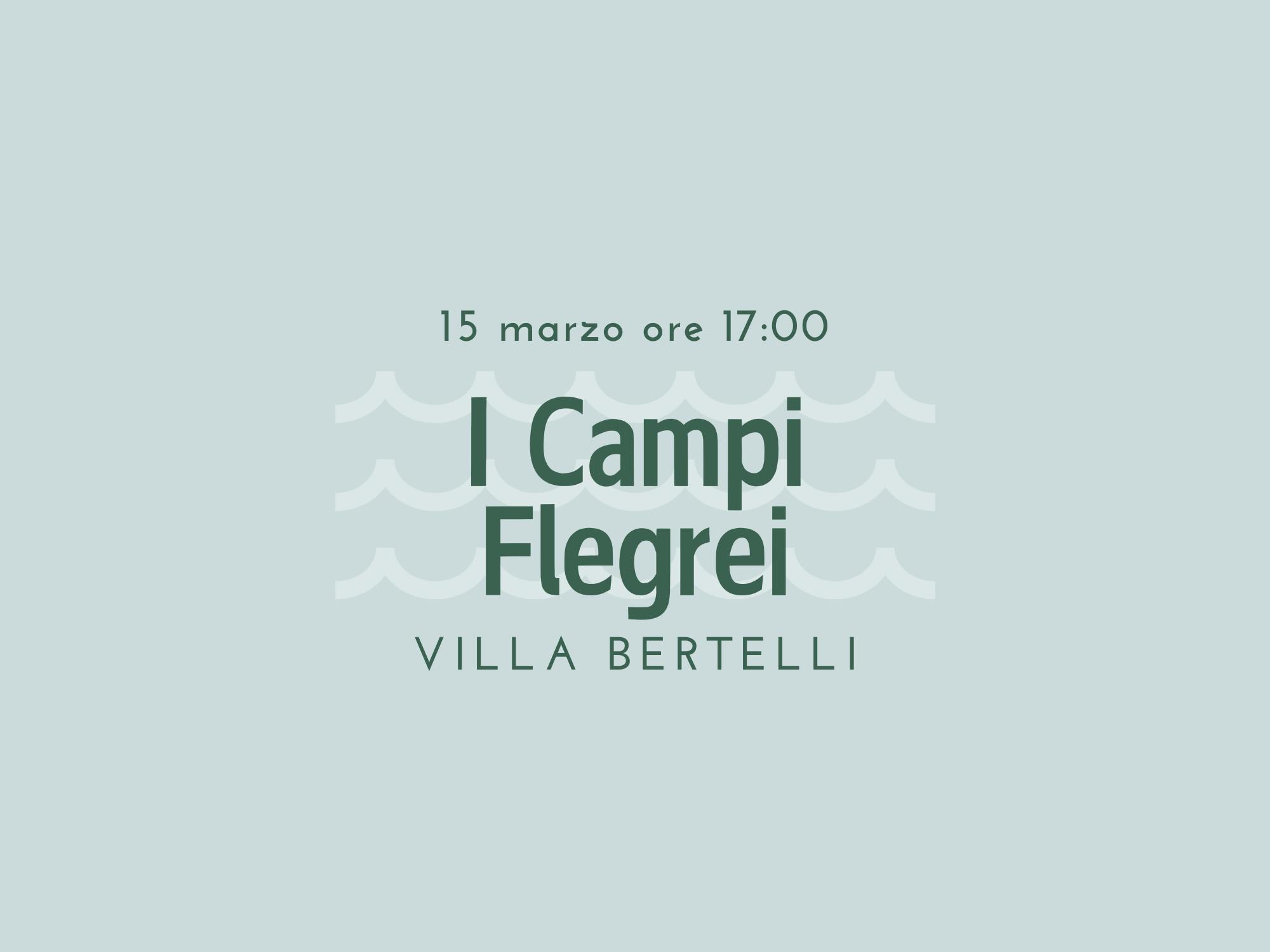 Copertina I Campi Flegrei