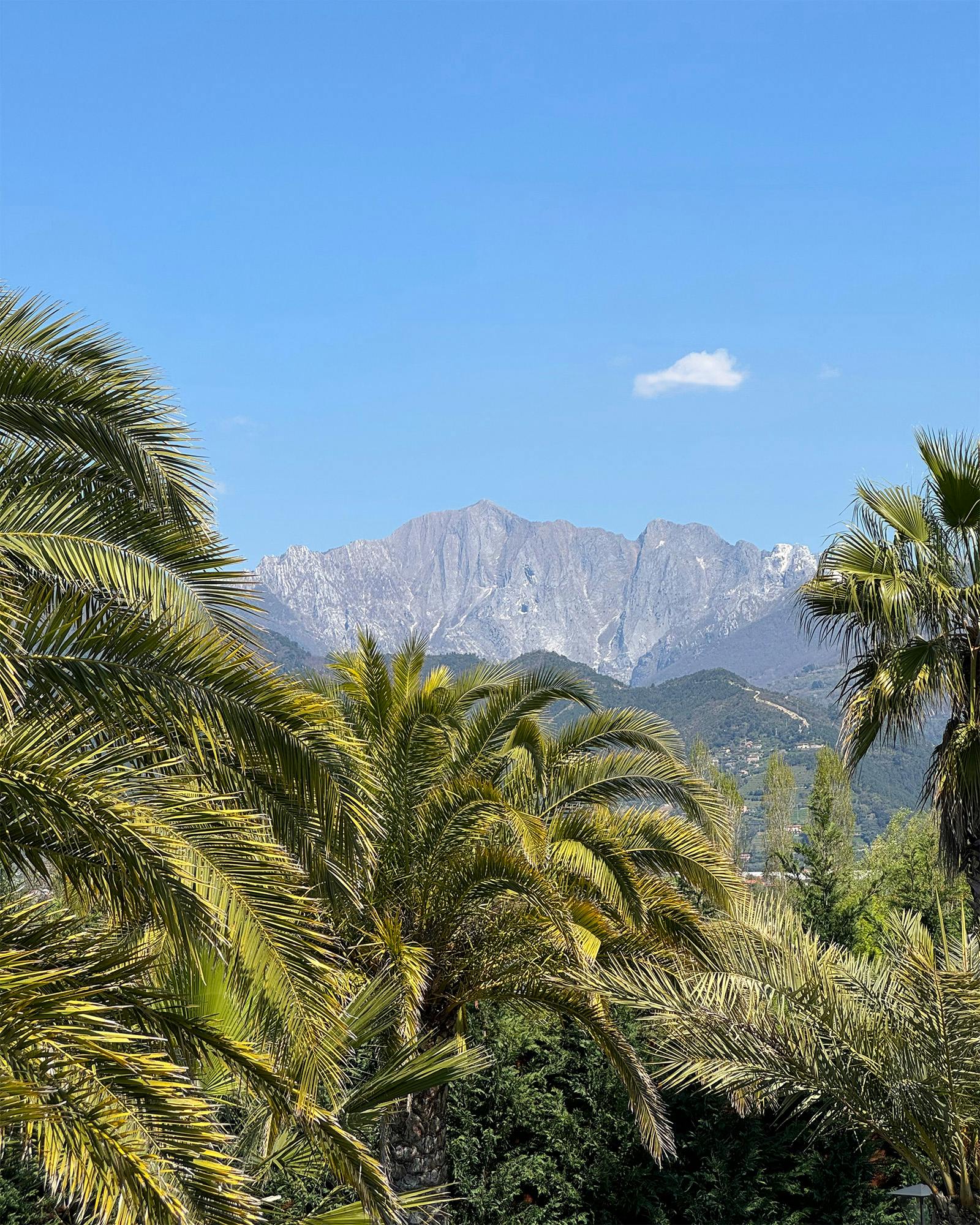 In un unico colpo d'occhio la vegetazione litoranea e le vette delle Alpi Apuane