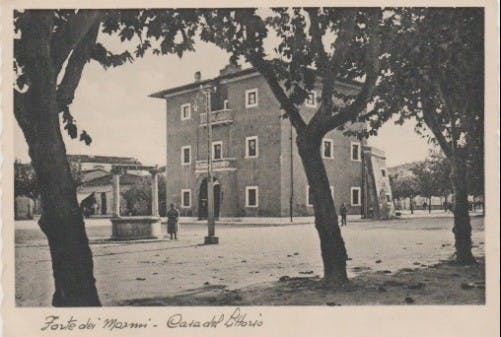 Fortino fig. 11e