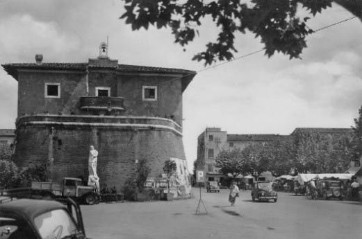 Fortino fig. 11f