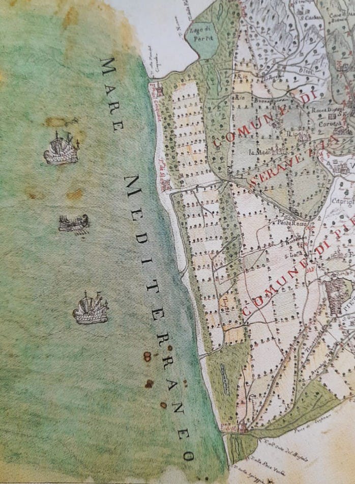 Fortino fig. 3