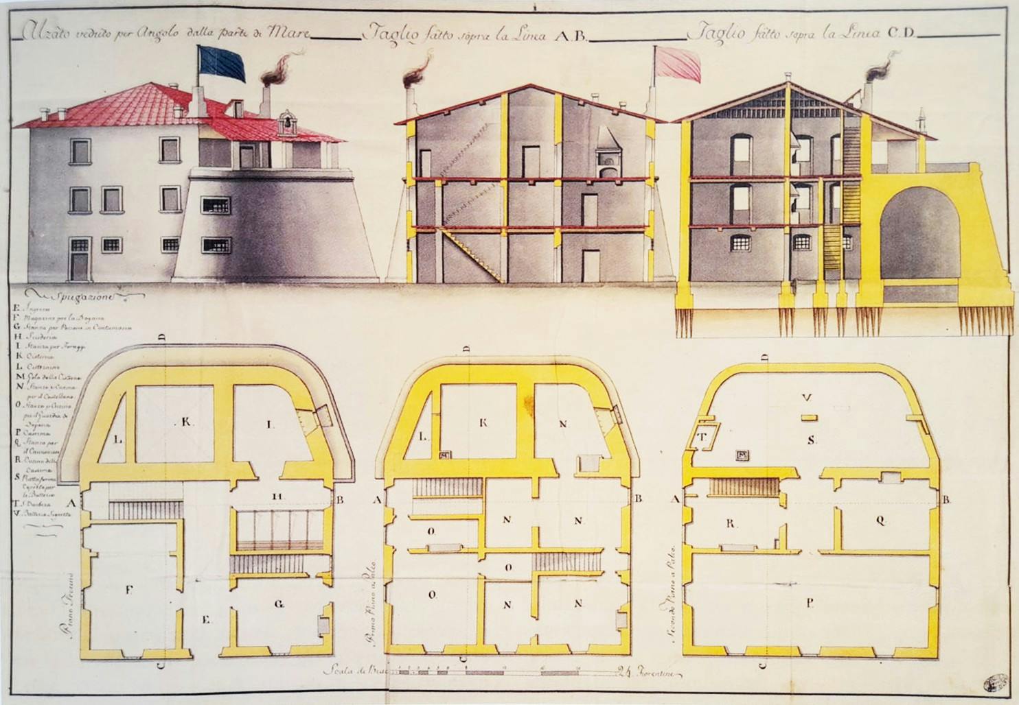 Fortino fig. 6