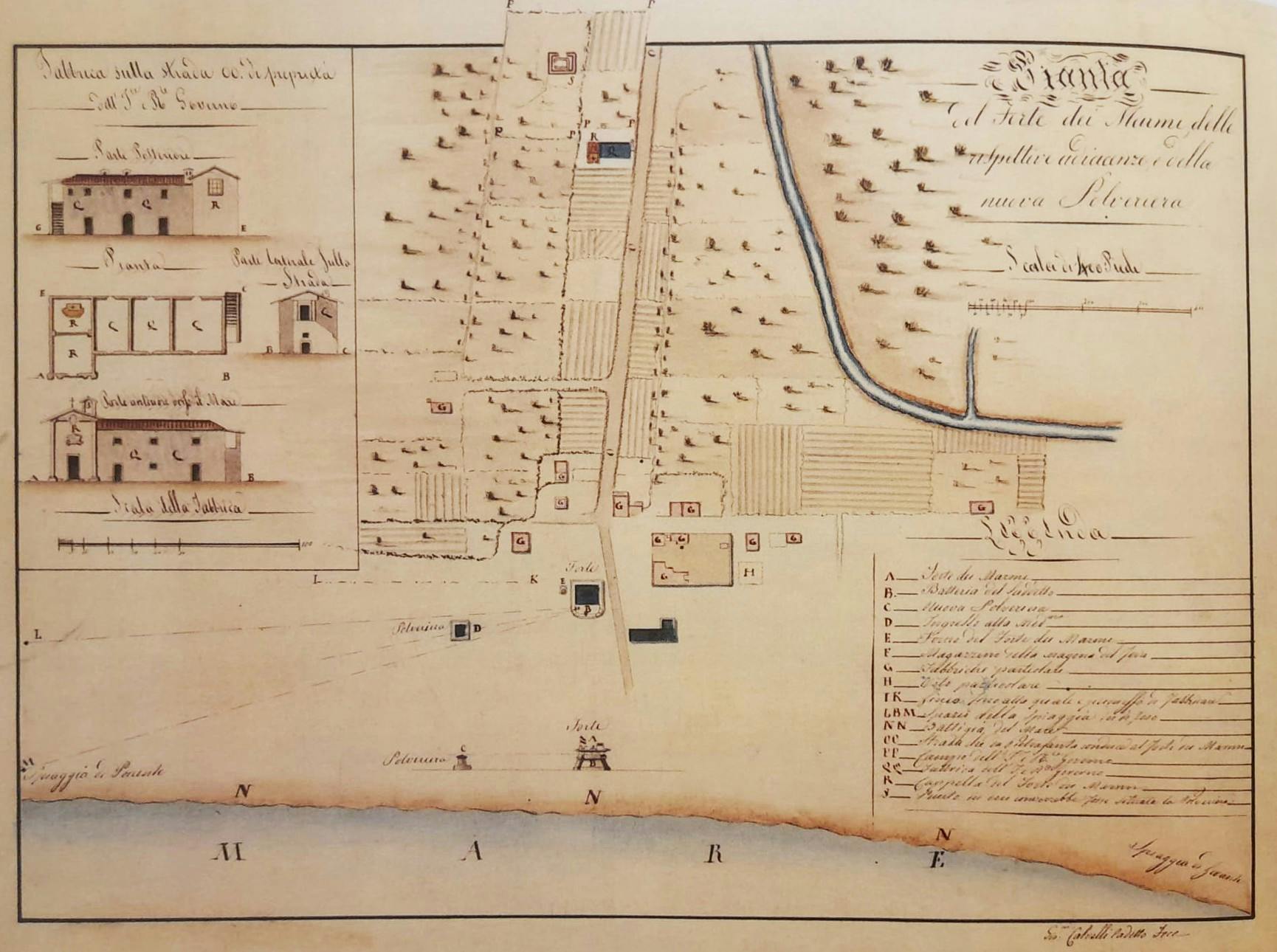 Fortino fig. 8