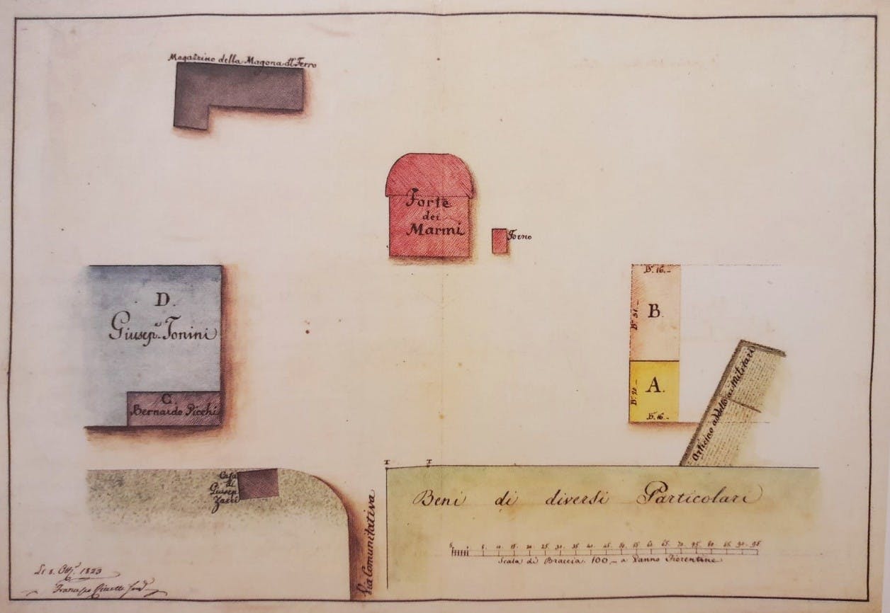 Fortino fig. 7