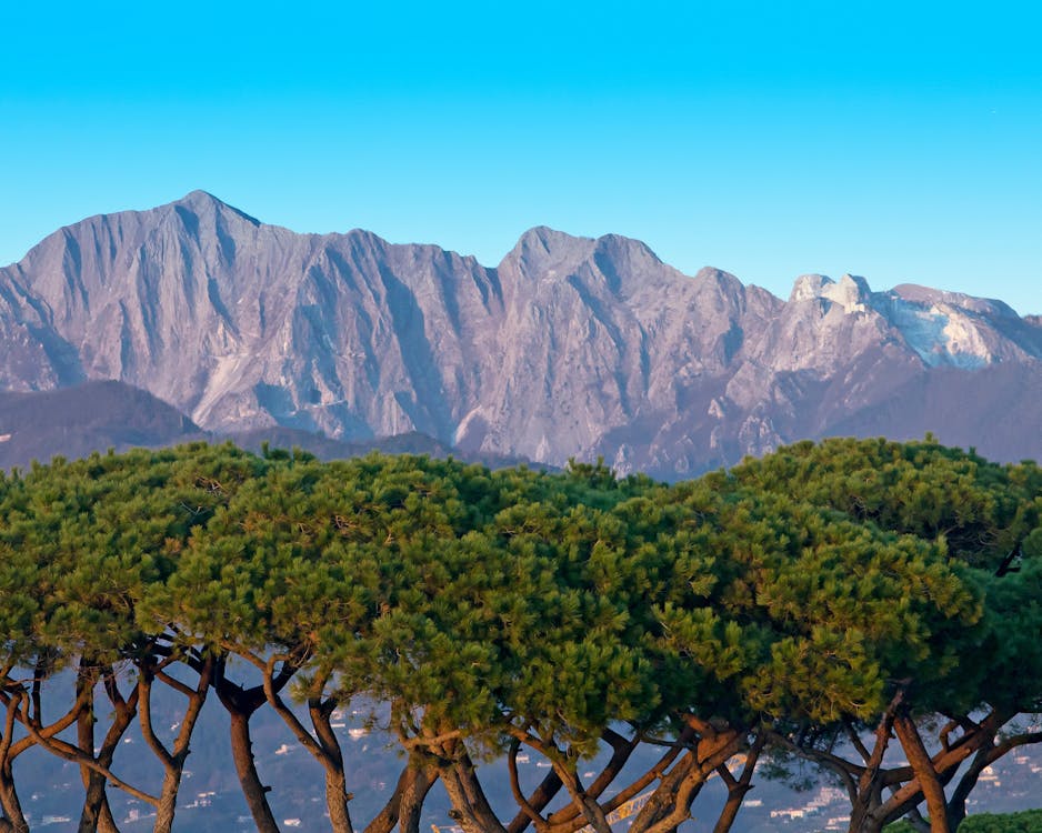 Le Alpi Apuane viste dalla costa della Versilia