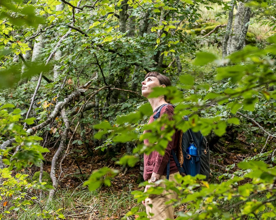 Terapia forestale nei boschi delle Alpi Apuane