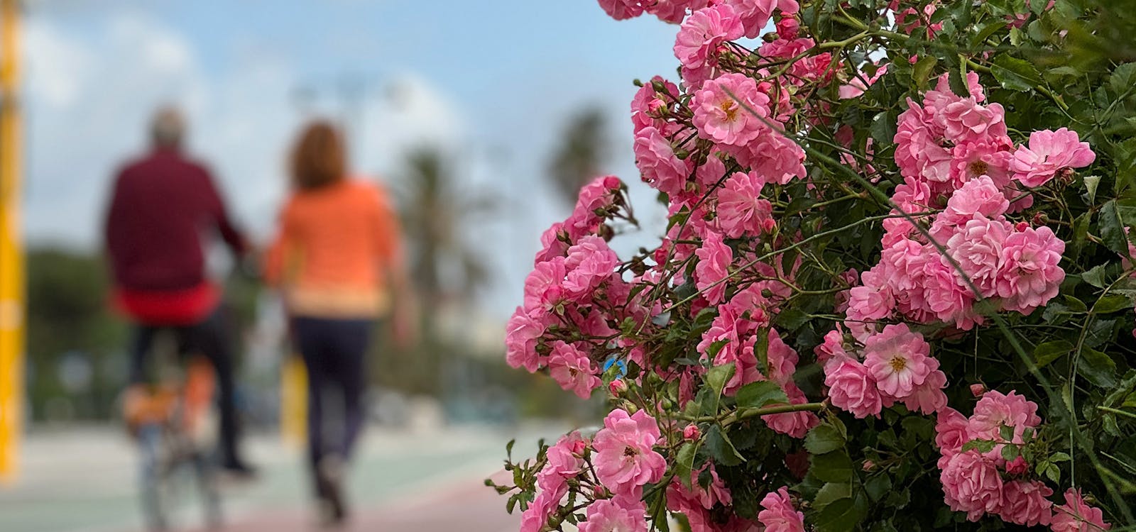 A passeggio sul lungomare di Forte dei Marmi A passeggio sul lungomare di Forte dei Marmi