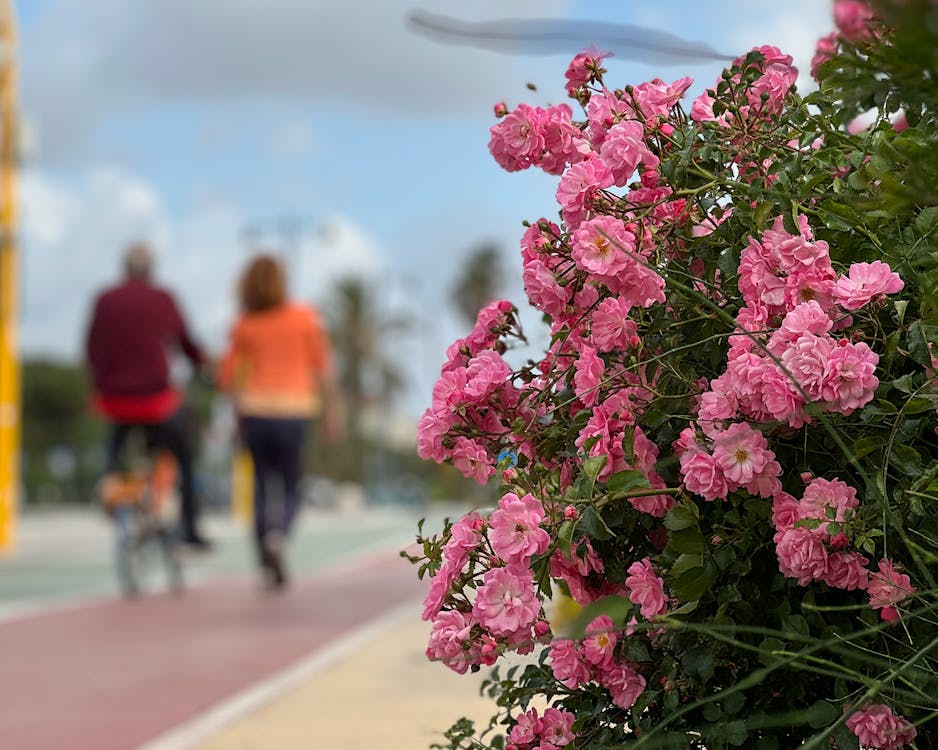 A passeggio sul lungomare di Forte dei Marmi