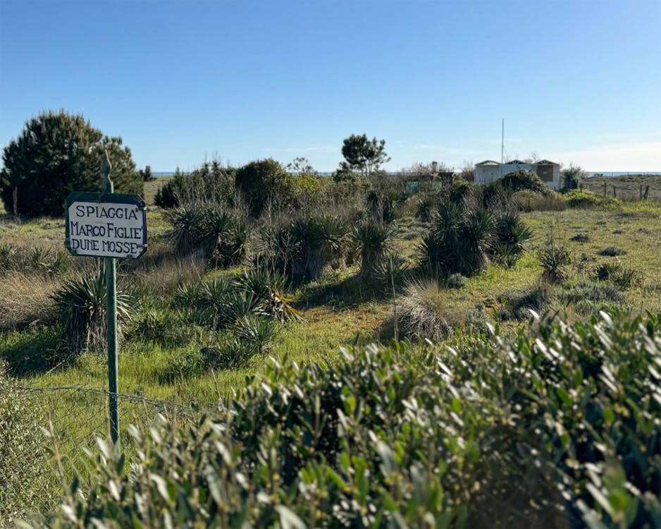 Le dune della spiaggia libera di Vittoria Apuana