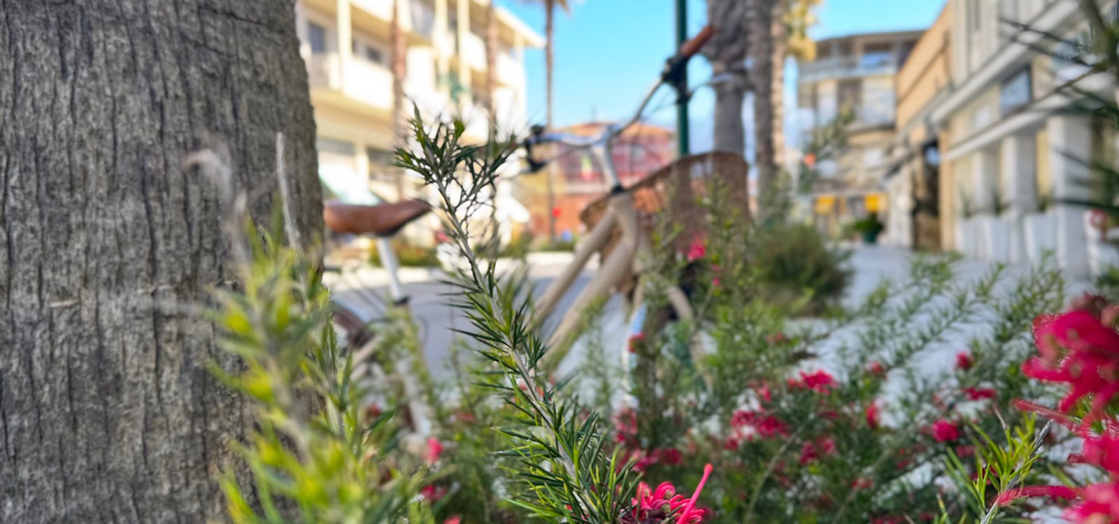 Sboccia la primavera a Forte dei Marmi Sboccia la primavera a Forte dei Marmi