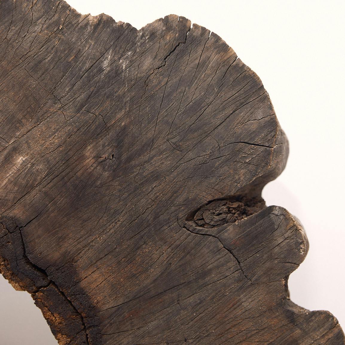 close up of carved out dark wood