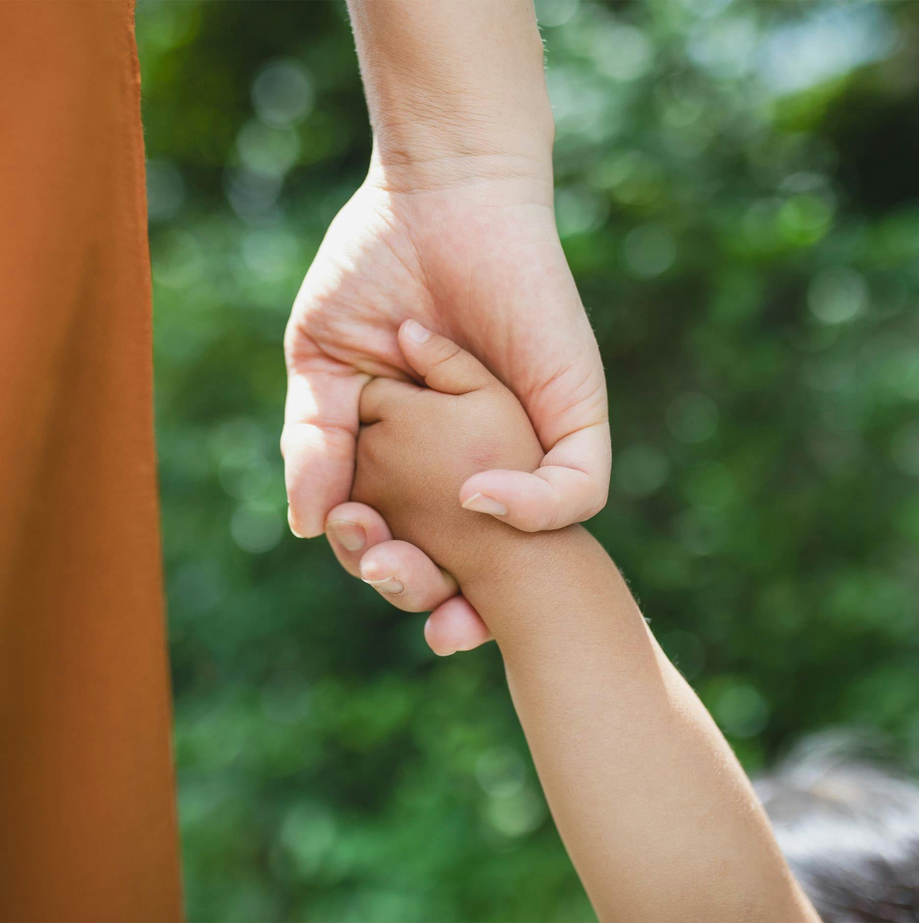 parent holding child's hand