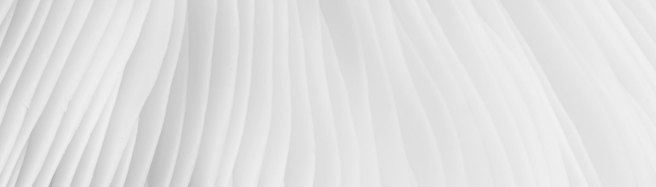 white aesthetic image