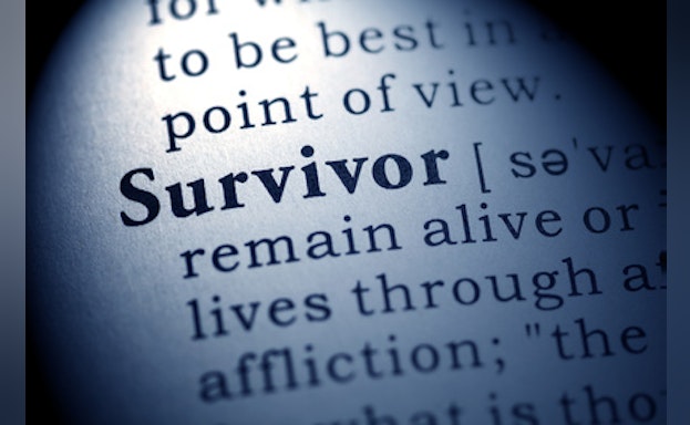 Definition of survivor from dictionary