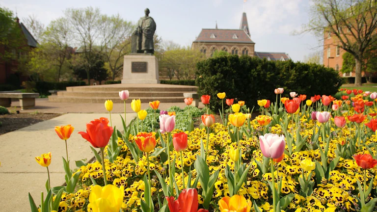 Flowers in park