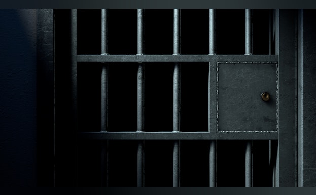 Bars on prison cell