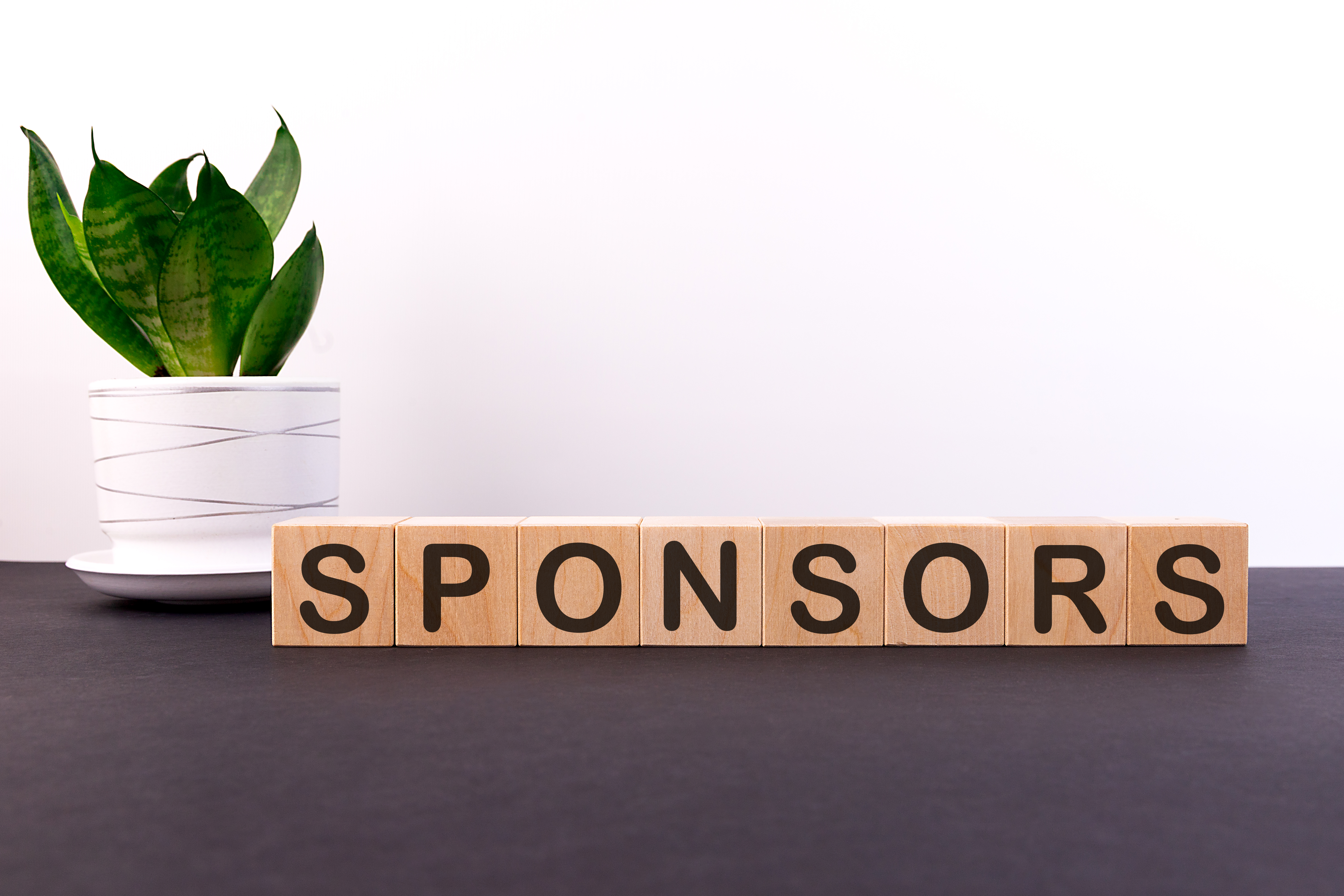 Sponsor