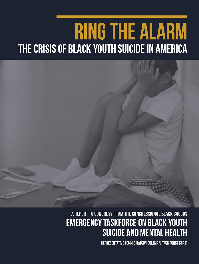 Ring the Alarm cover