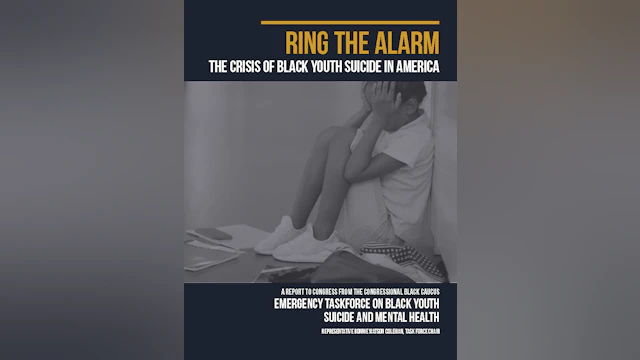 Ring the Alarm cover