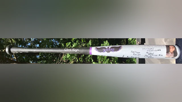 Ravens baseball bat