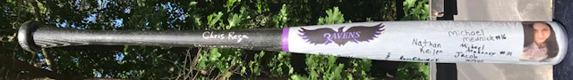 Ravens baseball bat