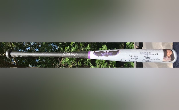 Ravens baseball bat