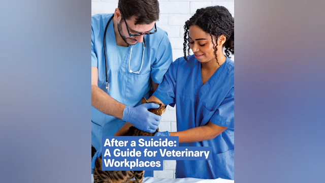 After a Suicide: A Guide for Veterinary Workplaces