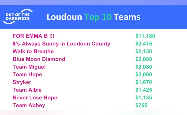 2020 Loudoun OOTD Top Fundraising Teams