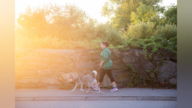 Walking with dog