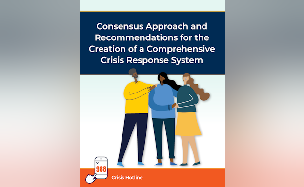Consensus Approach and Recommendations for the Creation of a Comprehensive Crisis Response System