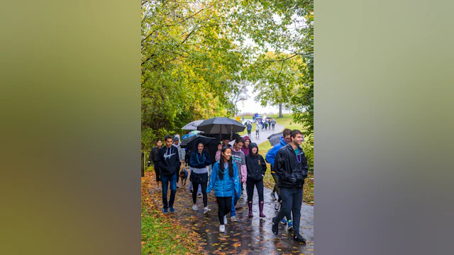A group of people walk with umbrellas in the rain.
