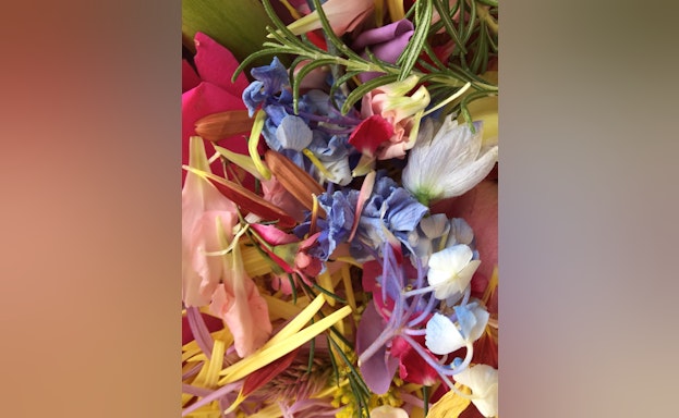 Colorful flower petals of varying shapes