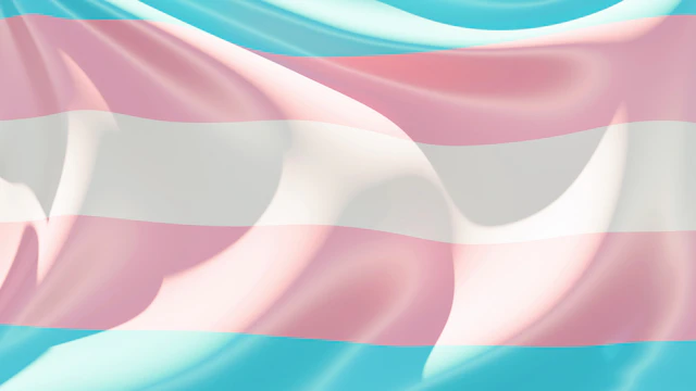 Transgender pride flag