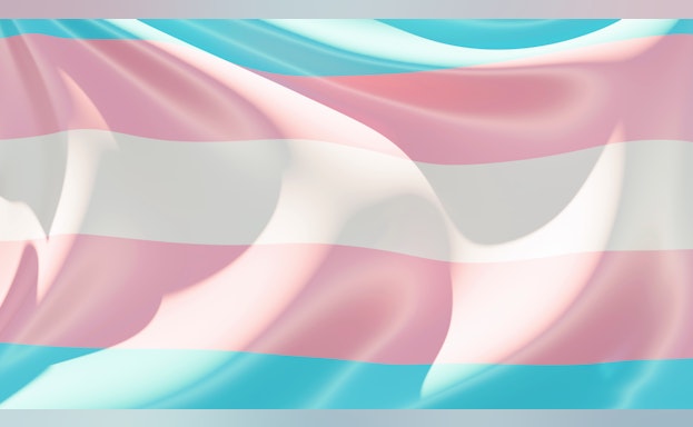 Transgender pride flag