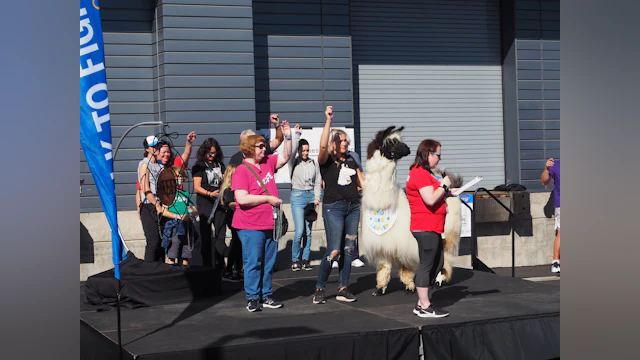 A group of people and a llama stand on a stage holding beads.