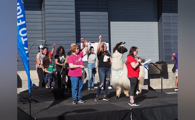 A group of people and a llama stand on a stage holding beads.