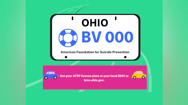 License plate graphic