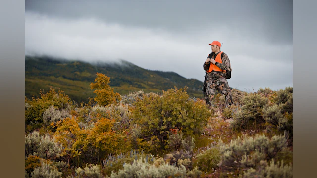 Hunter looking over a valley