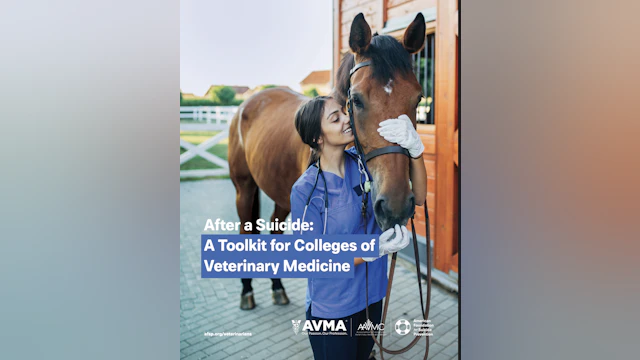 After a Suicide: A Toolkit for Colleges of Veterinary Medicine