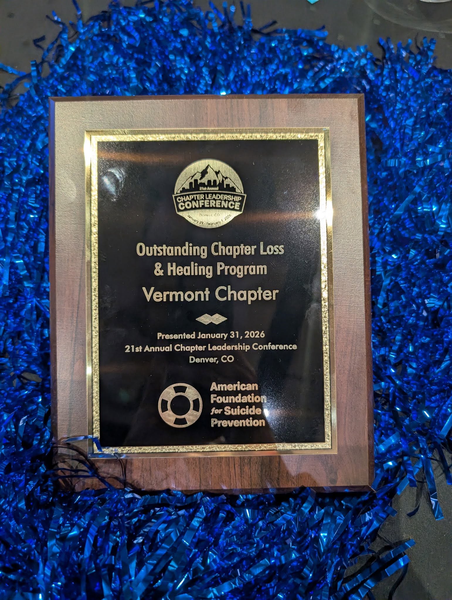 Loss and Healing Program Award