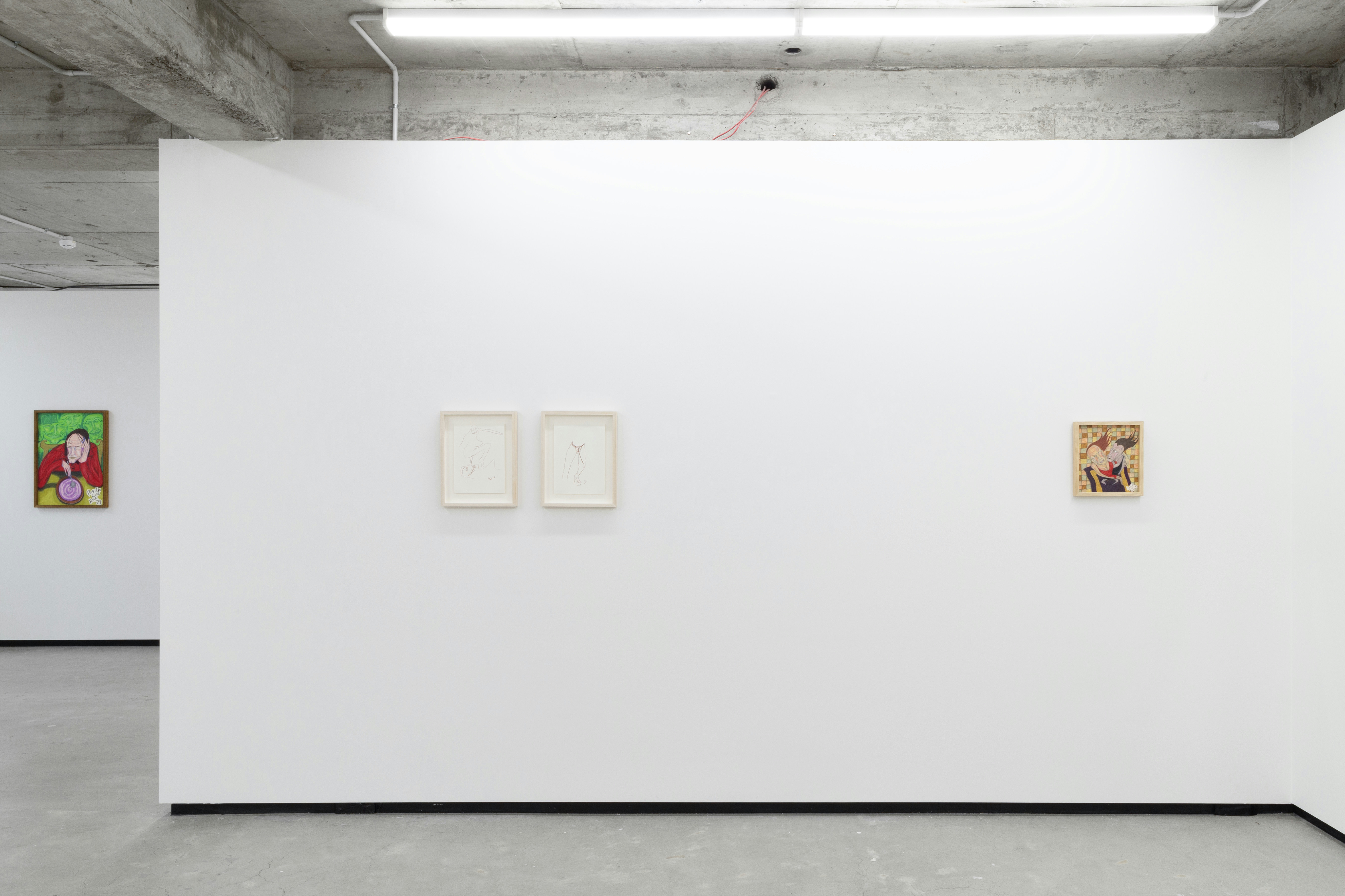 Roosting, Installation view – Jhana Millers Gallery