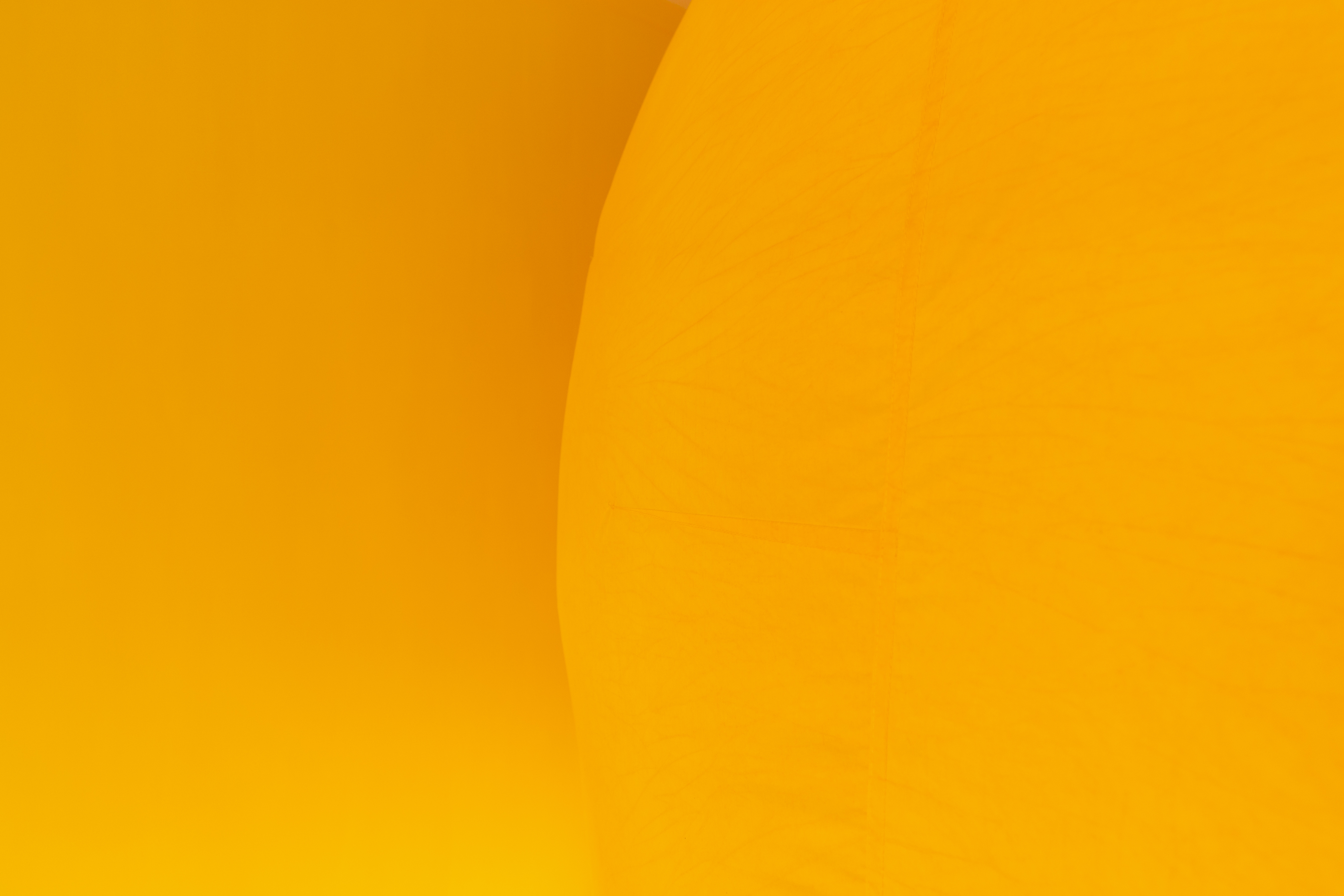 Bailee Lobb, Pineapple Place (detail), 2021 – Toi Pōneke