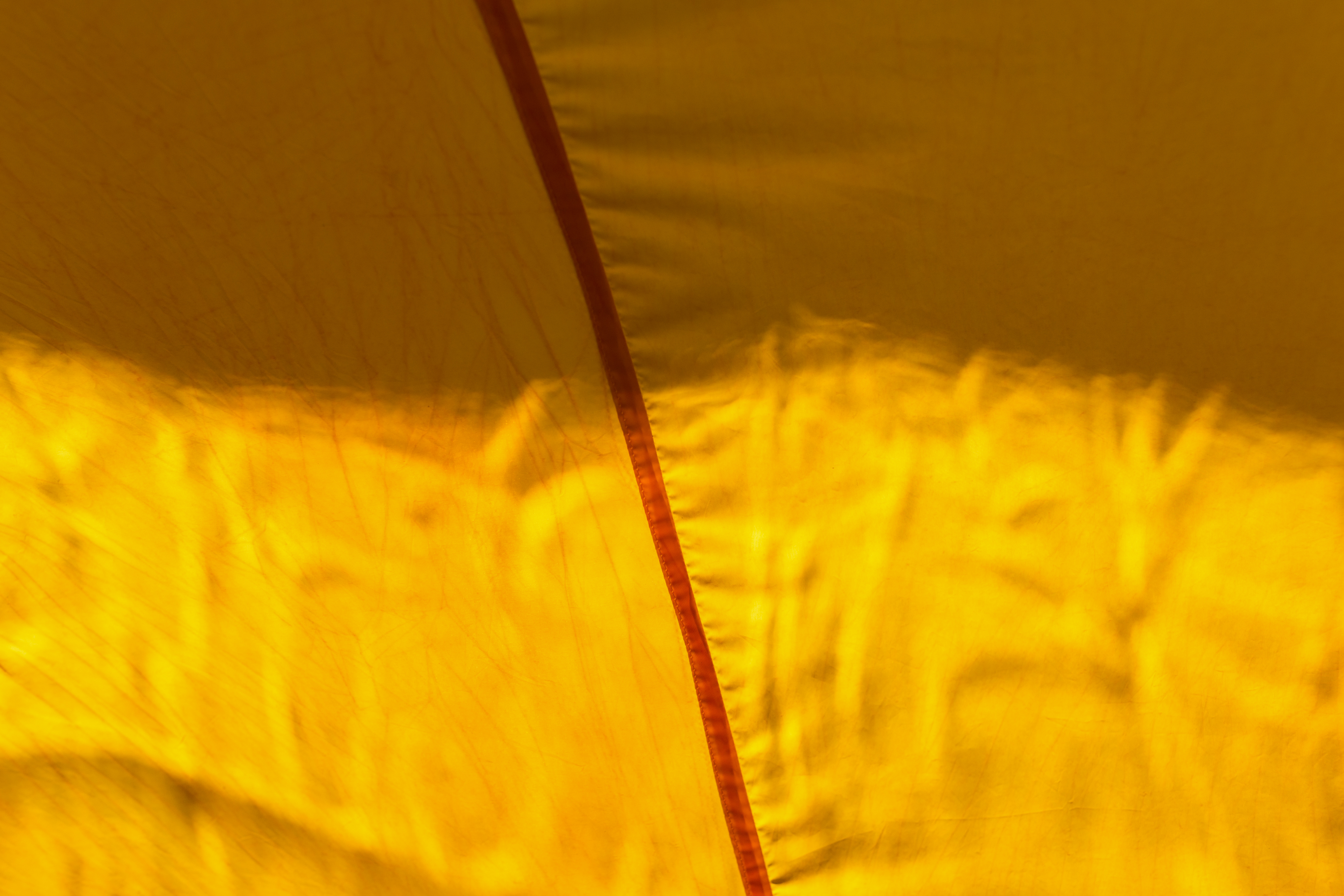 Bailee Lobb, Pineapple Place (detail), 2021 – Toi Pōneke